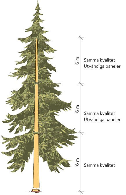 AVT-fig32-SE.jpg