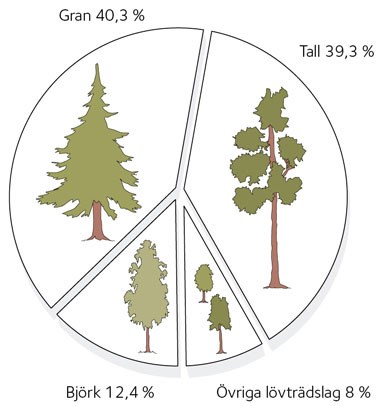 AVT-fig05-SE.jpg